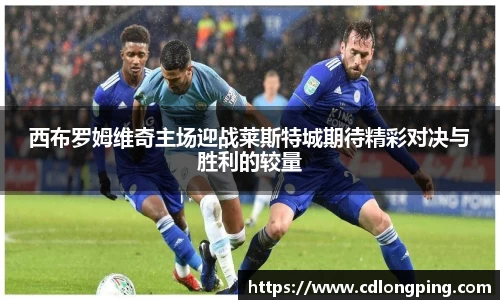 西布罗姆维奇主场迎战莱斯特城期待精彩对决与胜利的较量